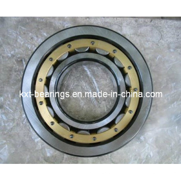 SKF Nup308em Cylindrical Roller Bearing (NUP309, NUP310, NUP312)